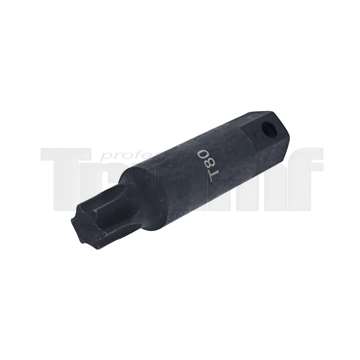 bit 22 mm, Torx